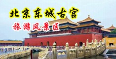 疼,不要啪啪我,慢点,受不了了黄片视频?中国北京-东城古宫旅游风景区